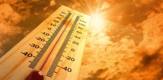 Прошедшее лето в РФ самым теплым в истории метеонаблюдений