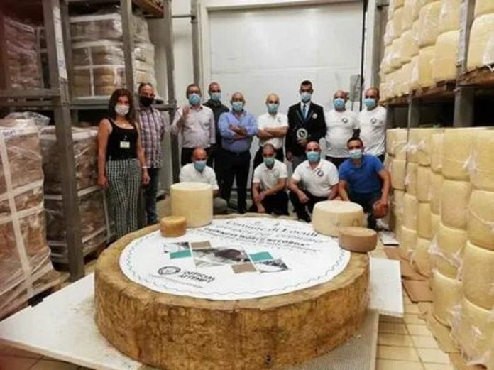 pecorino_