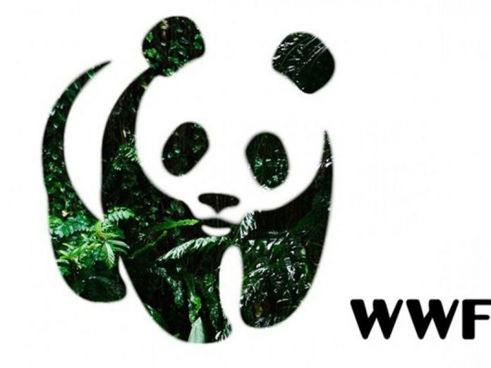 wwf_