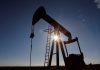 Впервые за полтора года: почему США возобновили импорт российской нефти