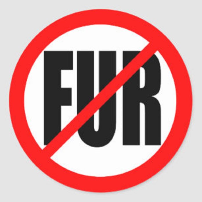 no_fur_
